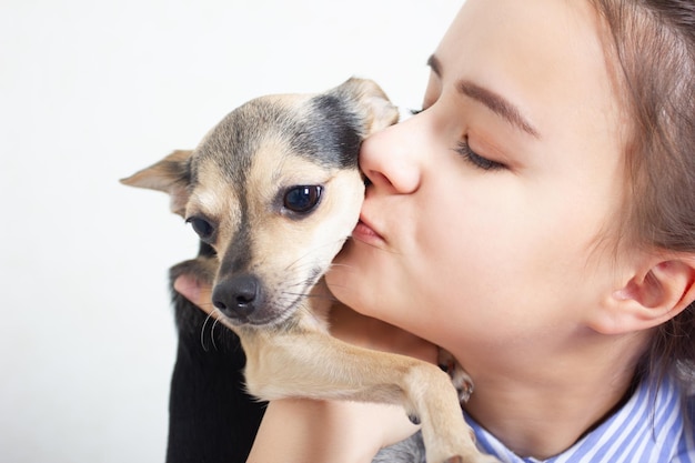 Perro toy terrier abraza y besa a la amante