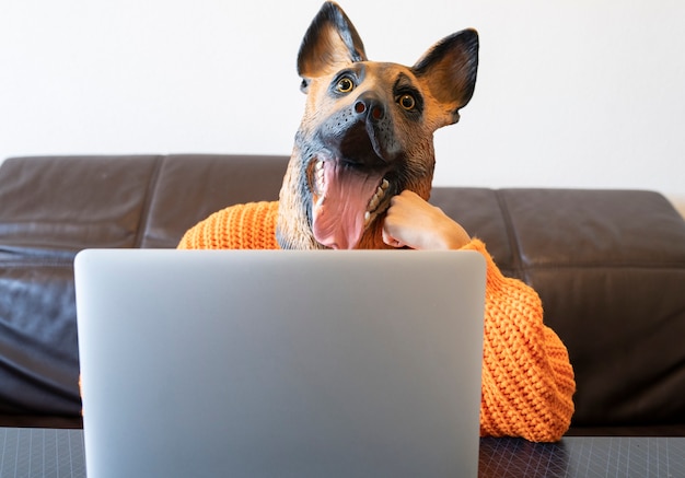 Perro trabajando con computadora en casa