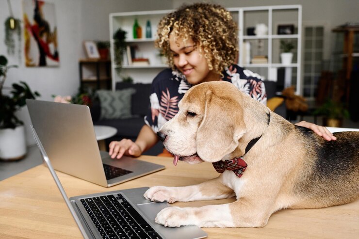 Perro trabajando en una laptop con su dueño