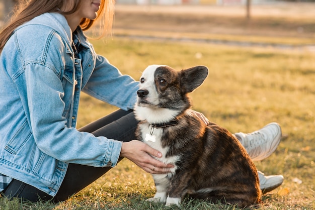 Perro Welsh Corgi obediente con su dueño practicando el comando de la pata.