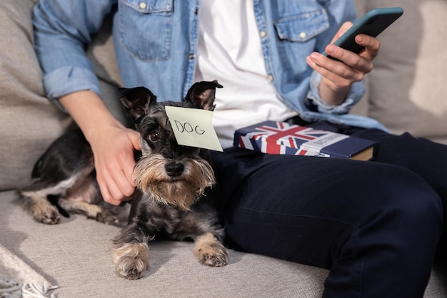 Un perro yace con un trozo de papel clavado en la frente un joven navega por Internet