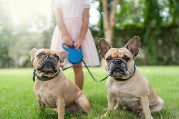 Perros con correa en el parque