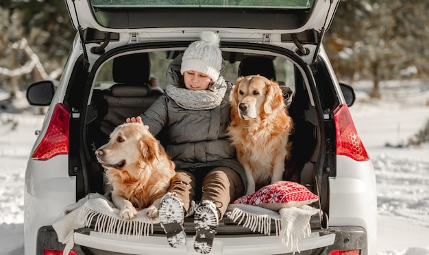 Perros golden retriever con niña en invierno