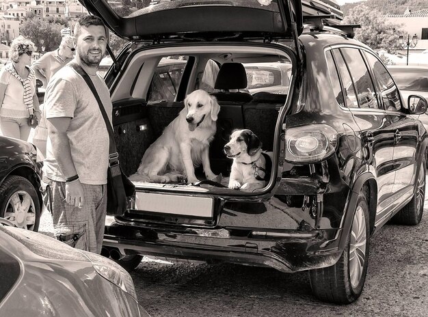 Perros en el maletero de un coche en el puerto de vacaciones en Grecia