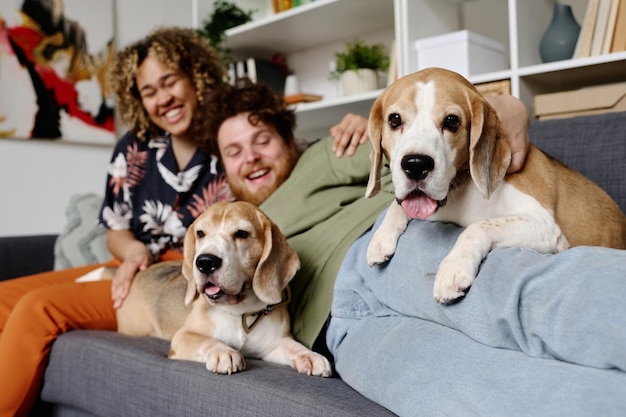 Foto perros mimados acostados en el sofá con el dueño