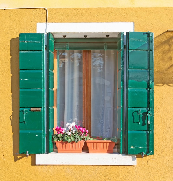 Persianas verdes e parede amarela em Burano