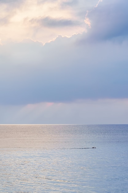 Person, die an einem ruhigen Tag bei Sonnenuntergang mitten im Meer schwimmt.