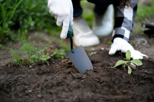 Person pflanzt draußen im Garten eine neue Blumenpflanze