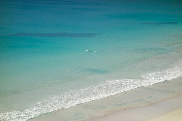 Person schwimmt an einem sonnigen Morgen allein an einem schönen Strand. Antenne