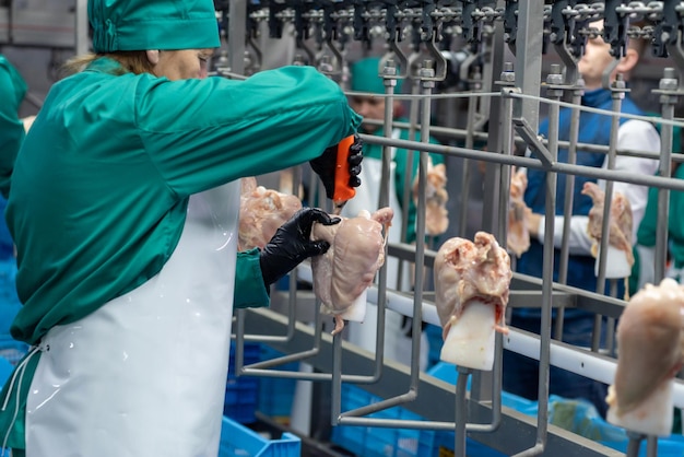 Una persona con un abrigo verde sostiene un trozo de carne frente a una jaula.