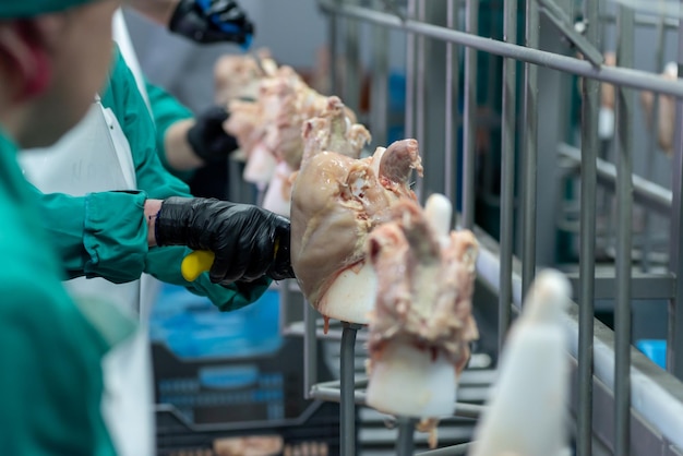 Una persona con un abrigo verde sostiene un trozo de pollo en un contenedor de metal.