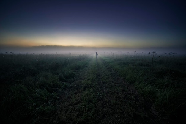 Persona caminando por un campo de hierba durante el tiempo de niebla al anochecer