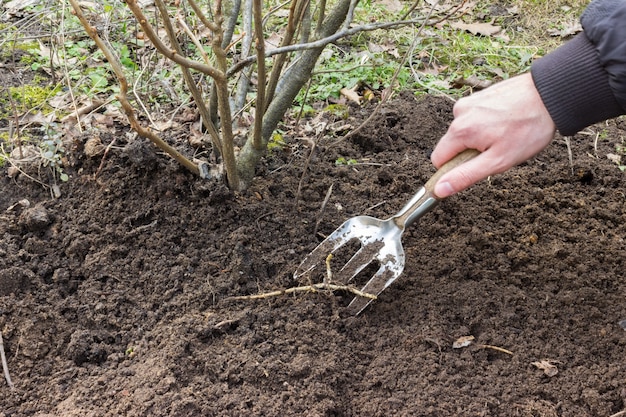 Una persona cuida la tierra en el jardín con una azada.