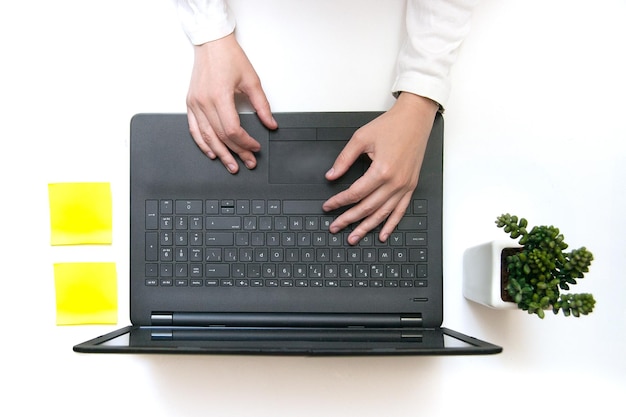 Una persona está escribiendo en una computadora portátil con una planta al fondo.