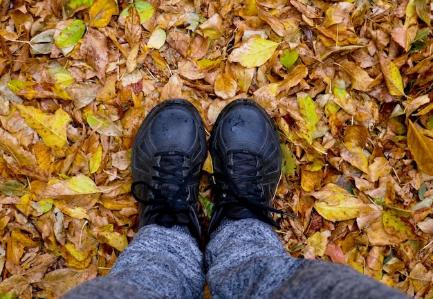 persona está de pie en zapatillas de deporte en hojas amarillas.