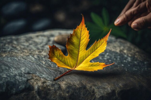 una persona está sosteniendo una hoja en una roca con la palabra en ella