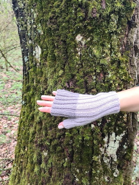 Una persona está tocando un árbol con un guante en la mano.