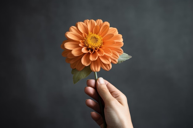 Foto persona con una flor en la mano