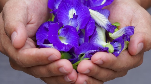 Una persona con flores en sus manos.