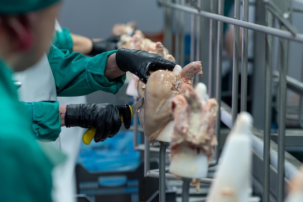 Una persona con un guante negro está cortando carne con una goma amarilla.