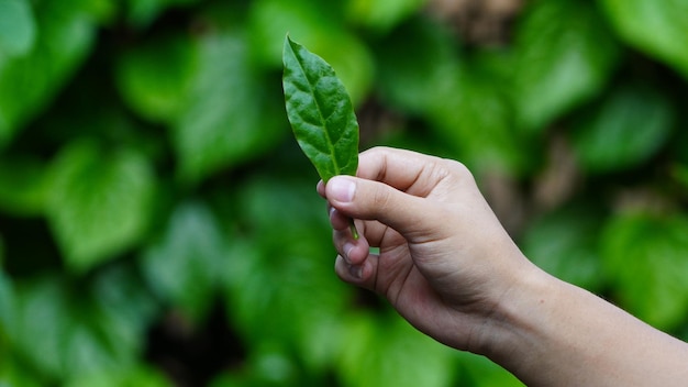 Una persona con una hoja en la mano.