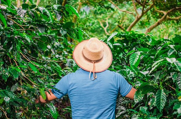 persona en el jardín