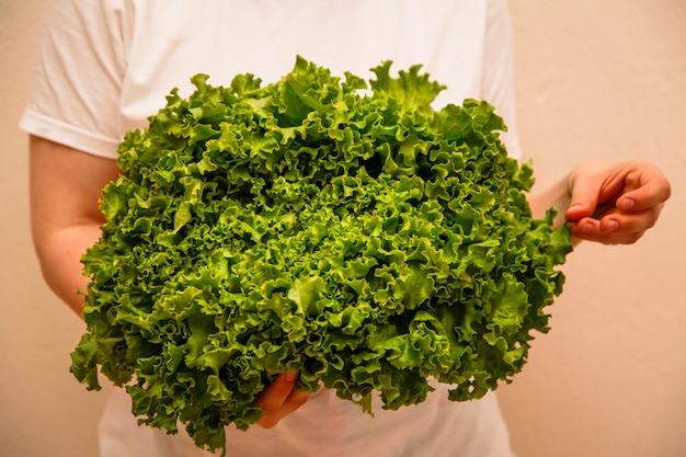 Persona con lechuga verde en las manos. Concepto de alimentación saludable