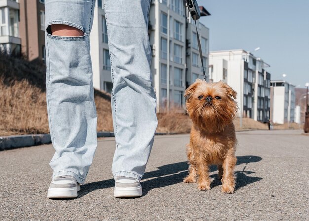 Foto una persona con un perro con correa.