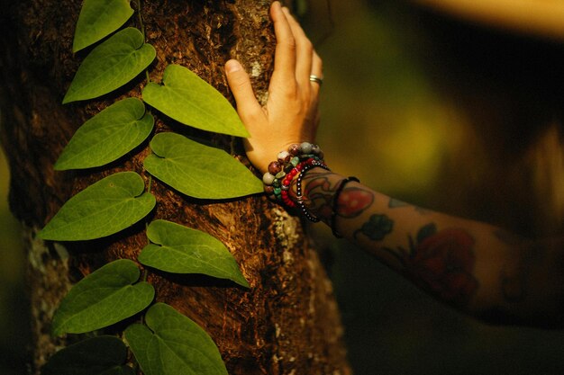 Foto persona con pulseras de cuentas tocando un tronco de árbol foto de stock