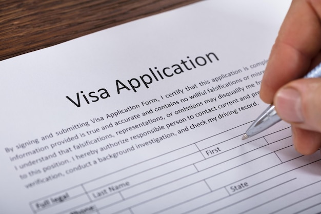 Persona que llena el formulario de solicitud de visa