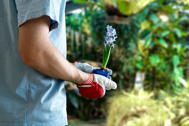 Foto una persona que sostiene un brote de planta pequeña en la olla, cuidado de la vida joven