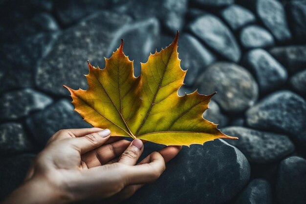 una persona que sostiene una hoja que tiene la palabra "caída" en ella