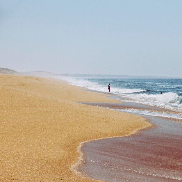 Foto persona silueta de pie en la playa contra el cielo despejado