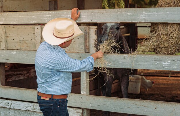 persona con sombrero de vaquero