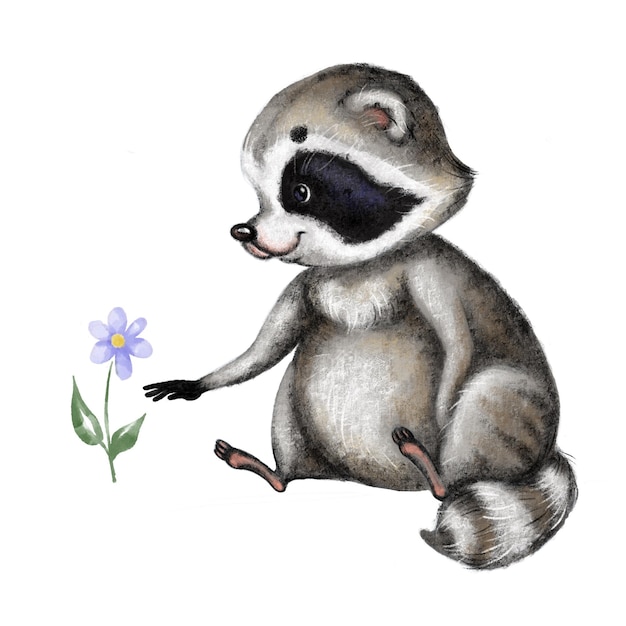 el personaje de la imagen del bebé mapaches
