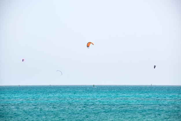 Personas deportistas windsurf y kitesurf en agua azul del océano Concepto de deporte exótico extremo de verano