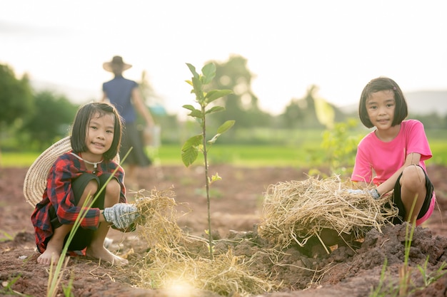 personas de la familia plantando el árbol en el fondo del cielo