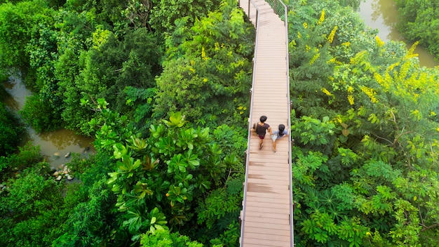 personas del hombre y la niña en la vista superior a pie en el cielo de madera calzada en el bosque con árboles y el riv