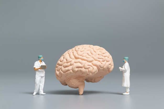 Personas en miniatura médico y enfermera observando y discutiendo sobre el cerebro humano, la ciencia y el concepto médico