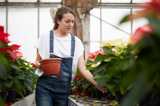 Personas que trabajan en una tienda de jardinería.