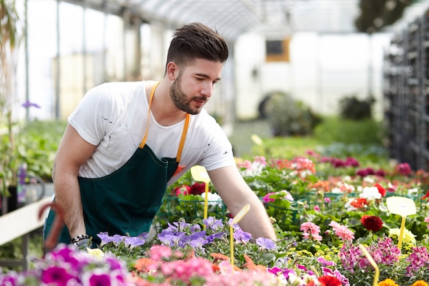 Las personas que trabajan en una tienda de jardinería