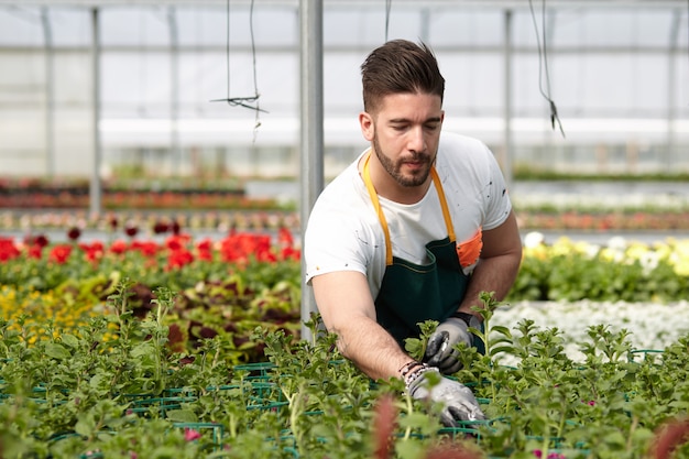 Las personas que trabajan en una tienda de jardinería