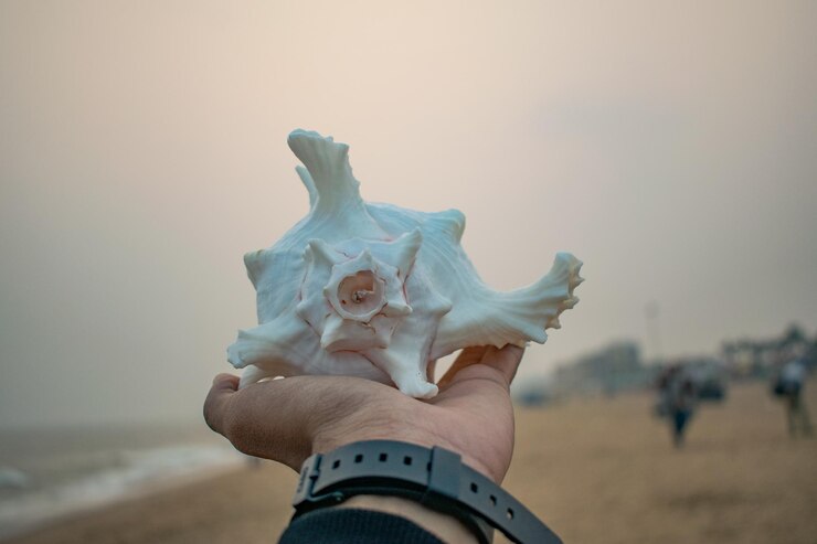 Personas con Seasell en la mano en la playa