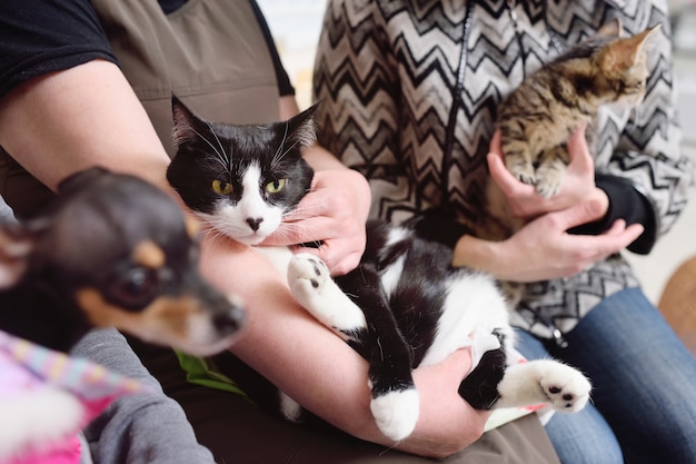 Las personas con sus mascotas esperan un examen médico en la clínica veterinaria.