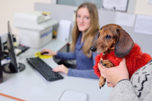 Las personas con sus mascotas están esperando un examen médico en la clínica veterinaria.