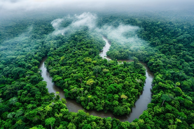 Perspectiva aérea captura o rio serpenteando através da exuberante floresta tropical durante a chuva