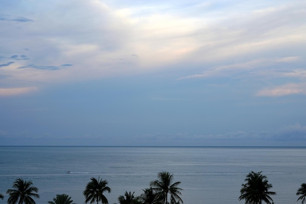 La perspectiva de la costa mirando árboles mar y nubes en el fondo del cielo azul