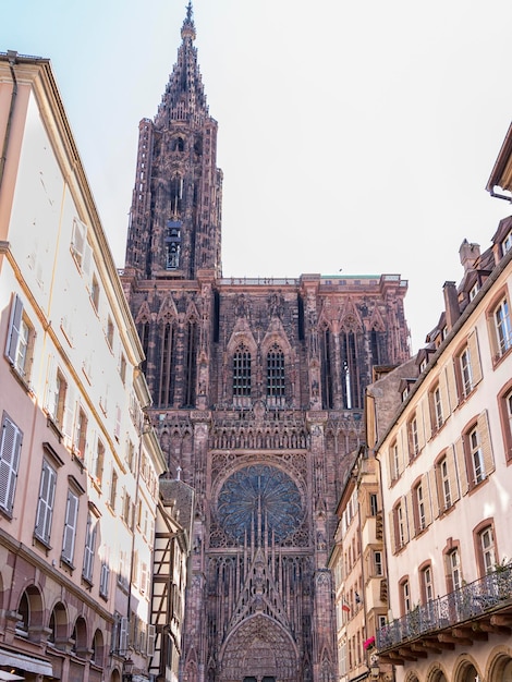 perspectiva da catedral de estrasburgo e sua torre