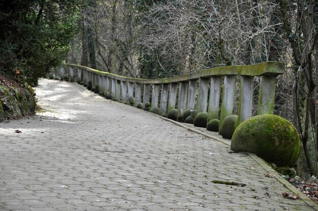 Perspectiva de beco com pavimento de pedra no parque