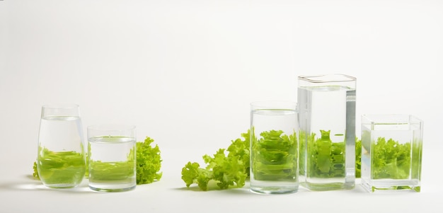 Perspectiva fraturada e imagens distorcidas de alimentos comuns como vistas através de vasos cheios de água